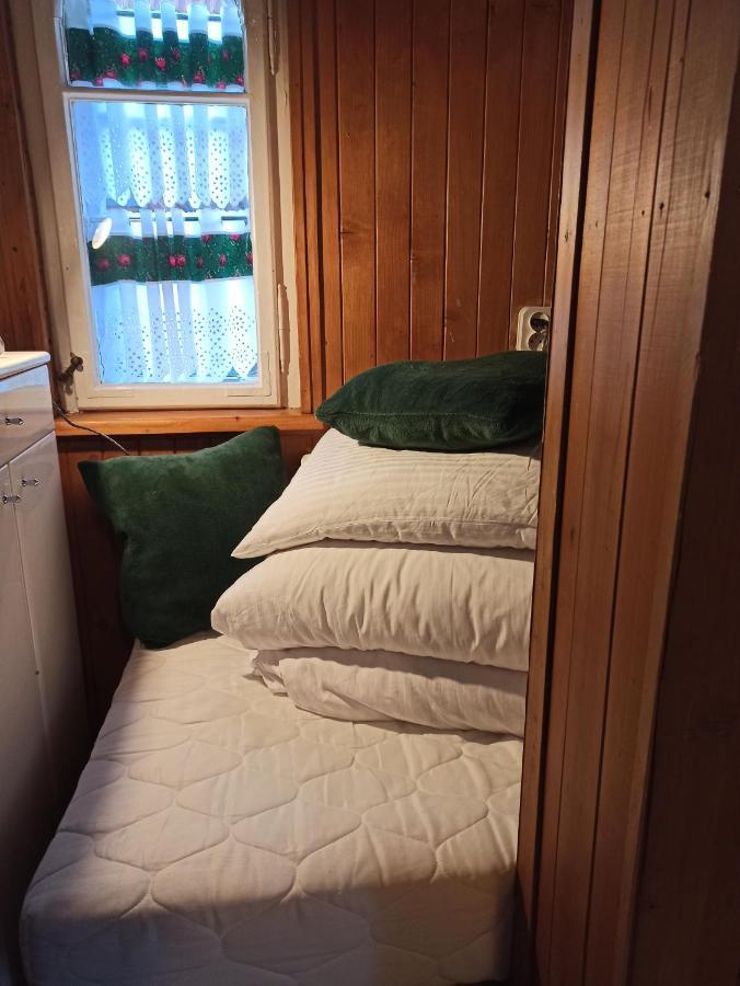 Willa Konradowka - Apartamenty Debowy, Klonowy, Kosowka I Limba Zakopane Buitenkant foto