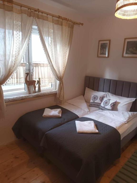 Willa Konradowka - Apartamenty Debowy, Klonowy, Kosowka I Limba Zakopane Buitenkant foto
